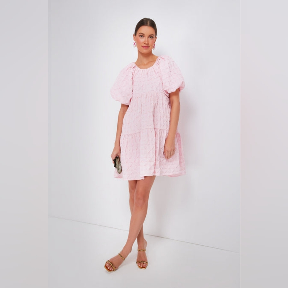 NWT Tuckernuck Hyacinth House Isabella in Pink Diamond Textured Mini Dress L - Picture 2 of 14